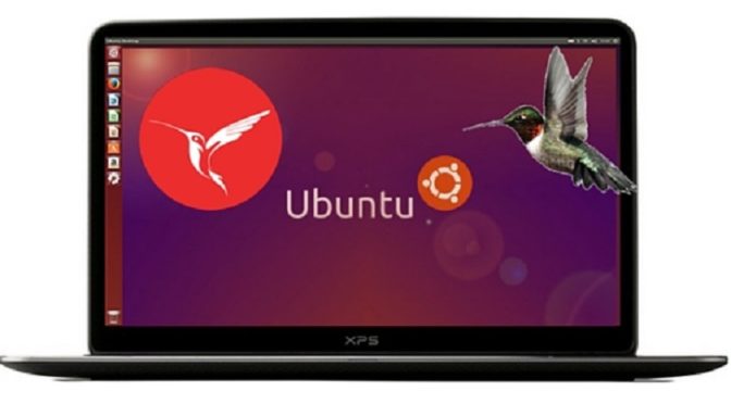 Instalando o InterBase no Linux Ubuntu